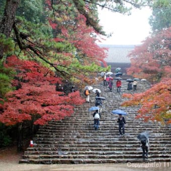 紅葉の神護寺