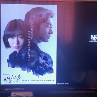「韓国ドラマ　世界的ヒットの秘密」