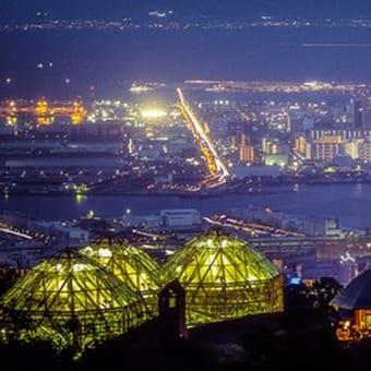 ハーブ園からの夜景