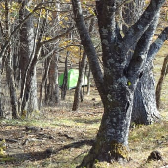 一人キャンプ　in 雲取山