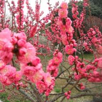 3月・・・気持ちよい季節になりますね！！