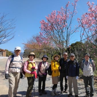 令和6年3月例会登山　「筆影山」