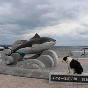 大間崎　…　日本一のマグロ