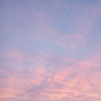 2025-04-23 Photo