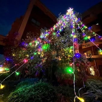 クリスマスイルミネーション強化中✨