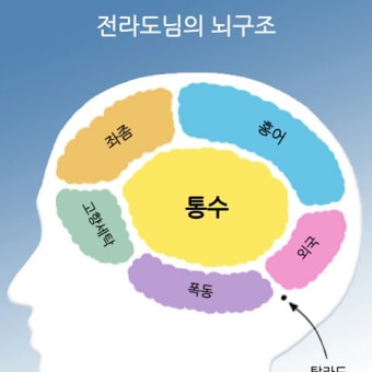 홍어의 뿌리 (The Roots of Jeolla)< 홍어법 위반 글>