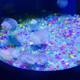 水族館