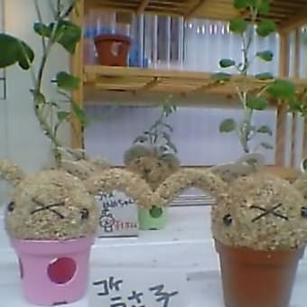 那須→日光→帰宅