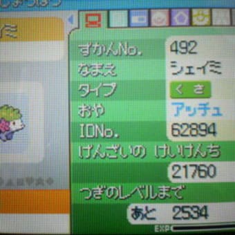 ポケモンプラチナ 野生のシェイミ Room Of Accyu