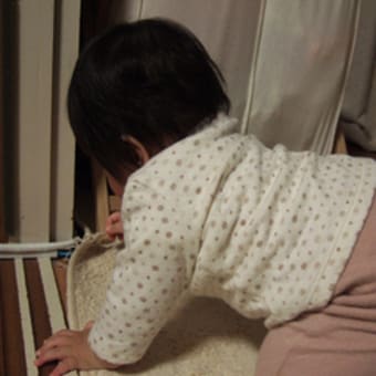 静かなときは・・・tama９ヶ月と９日