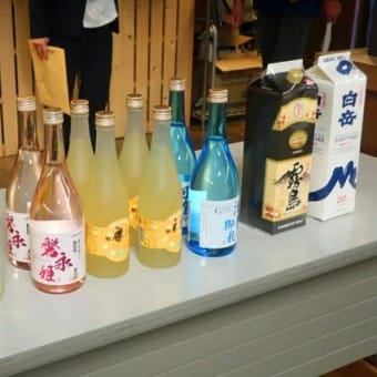 小さい春みっけ！も寒波到来か？