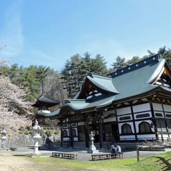 福泉寺の桜　2025　壱