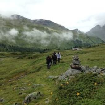 イタリア-スイス国境山中のお花畑をトレッキング