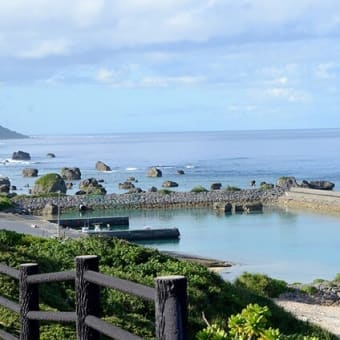 早春の南の島