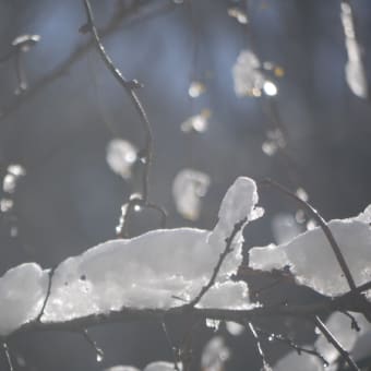 水戸の大雪