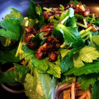 葱だれ三つ葉蕎麦　～野菜って何て美味しいんだろう～