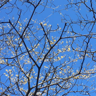 3月の登山