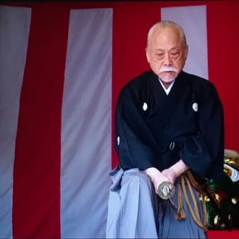 無双直伝英信流　九州博英館　館長の目付