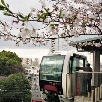 桜巡り帳5頁目：王子