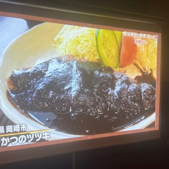 長年の疑問が解ける　味噌カツ