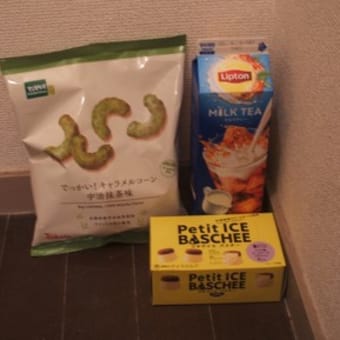 3/29：お買い物