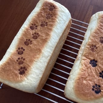 先週のパン教室