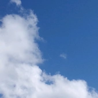 沖縄の旅