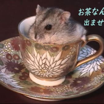 「待たされるどころかお茶も出されず」って？