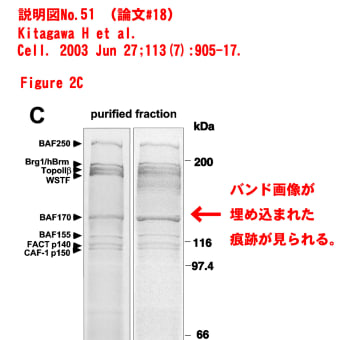 類似画像掲載論文#１８