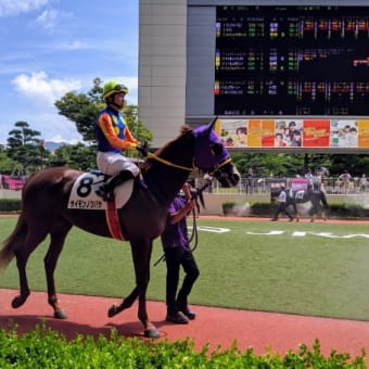 小倉競馬に行く