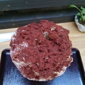 暑いねー
