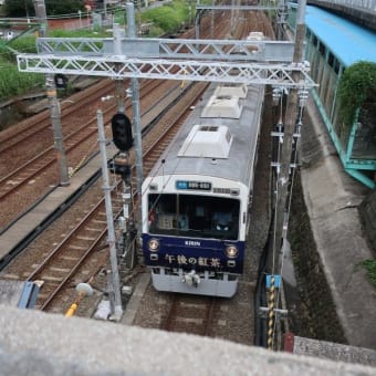 桜橋の架け替え工事が始まるようです。　その２