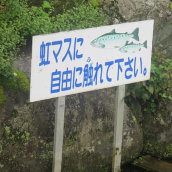 2016年10月7日　金曜日　忍野八海⑥