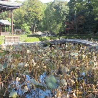 東福寺三門　蓮池橋　（京都市東山区）