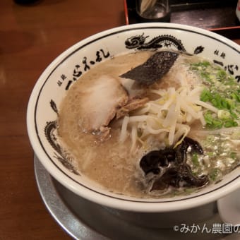 福岡県筑紫野市・一心不乱 筑紫野原田店