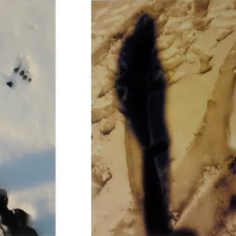 第４５回　組写真