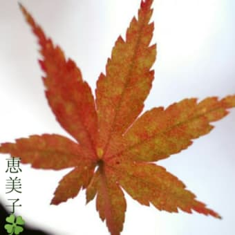 ブログを少し動かそうかな・・・