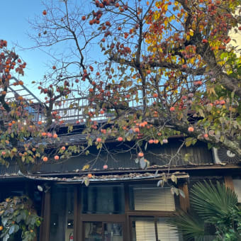 3年ぶりの旅行は川越