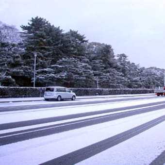 朝起きると、、、そこは「ホワイトプラン」やった・・・ン？