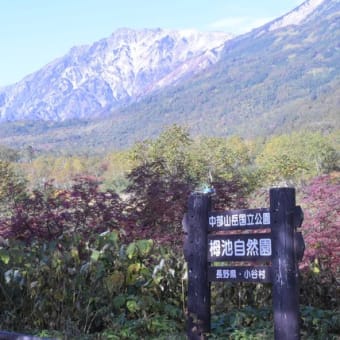 栂池自然園　中部山岳国立公園　その１