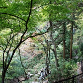 養老の滝