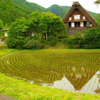 ６月の４枚【春の白川郷】