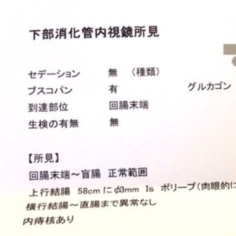 わたし　大腸カメラの結果と当日の流れ