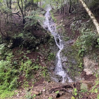 鍋割山登山。インソールを入れて登山しました。