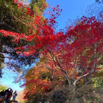 筑波山行きました！