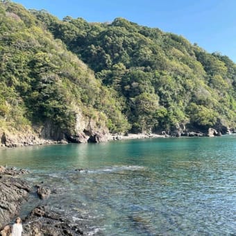 高知２日目　１１月１２日（土）　昼