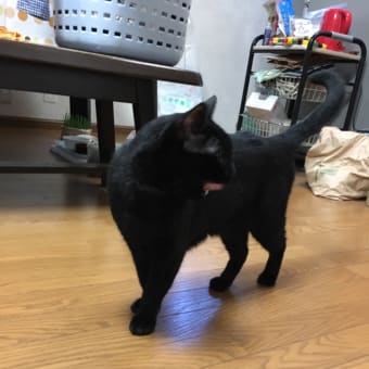 長いお出かけ