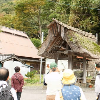 「秋の気配　ぐるっと琵琶湖一周ウオーク⑩」　2010年11月2日(土)　晴