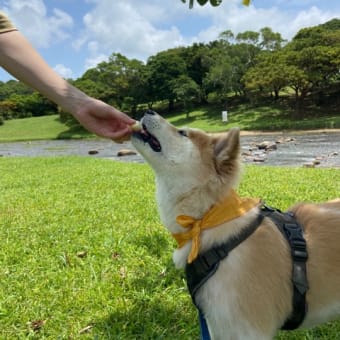 宇座海岸と倉敷ダム