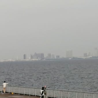 浦安沖海岸を散歩しました。